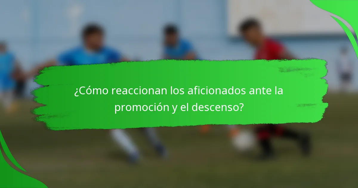 ¿Cómo reaccionan los aficionados ante la promoción y el descenso?