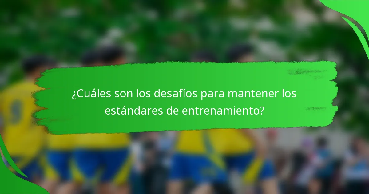 ¿Cuáles son los desafíos para mantener los estándares de entrenamiento?