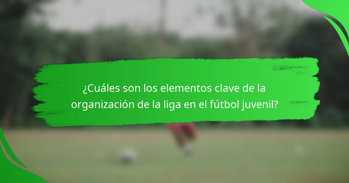 ¿Cuáles son los elementos clave de la organización de la liga en el fútbol juvenil?