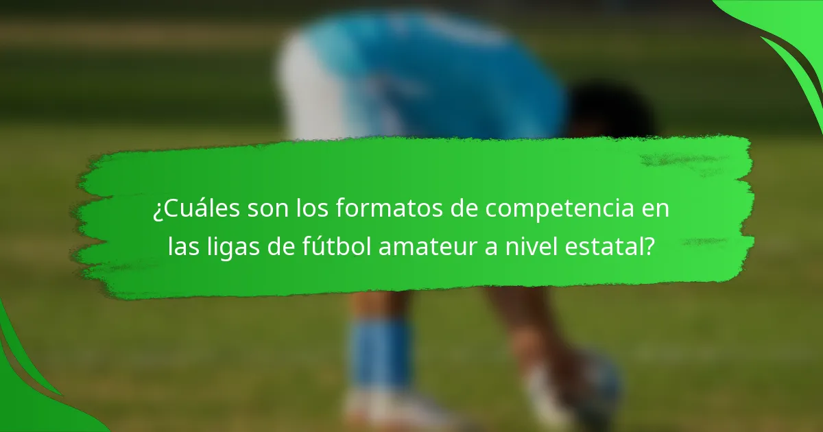 ¿Cuáles son los formatos de competencia en las ligas de fútbol amateur a nivel estatal?