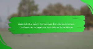 Ligas de Fútbol Juvenil Competitivas: Estructuras de torneos, Clasificaciones de jugadores, Evaluaciones de habilidades